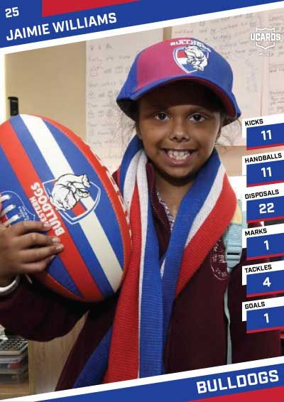 AFL Red, White & Blue