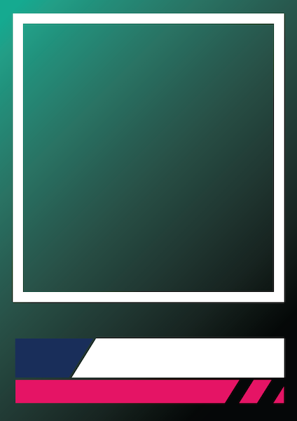 Vixens Netball UCard